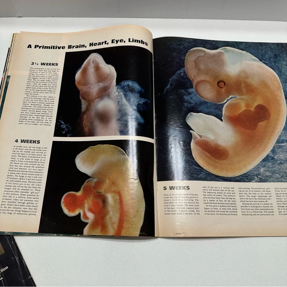Vintage LIFE Magazine Set‎ of 2 - Drama of Life before birth 1965, science 1959